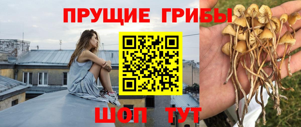 Галлюциногенные грибы MAGIC MUSHROOMS  Вход с VPN  Псилоцибиновые грибы мухоморы  купить   Миасс 